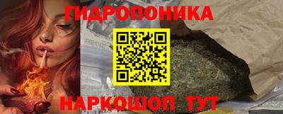 молекула духа Шебекино