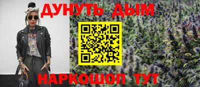 молекула духа Шебекино