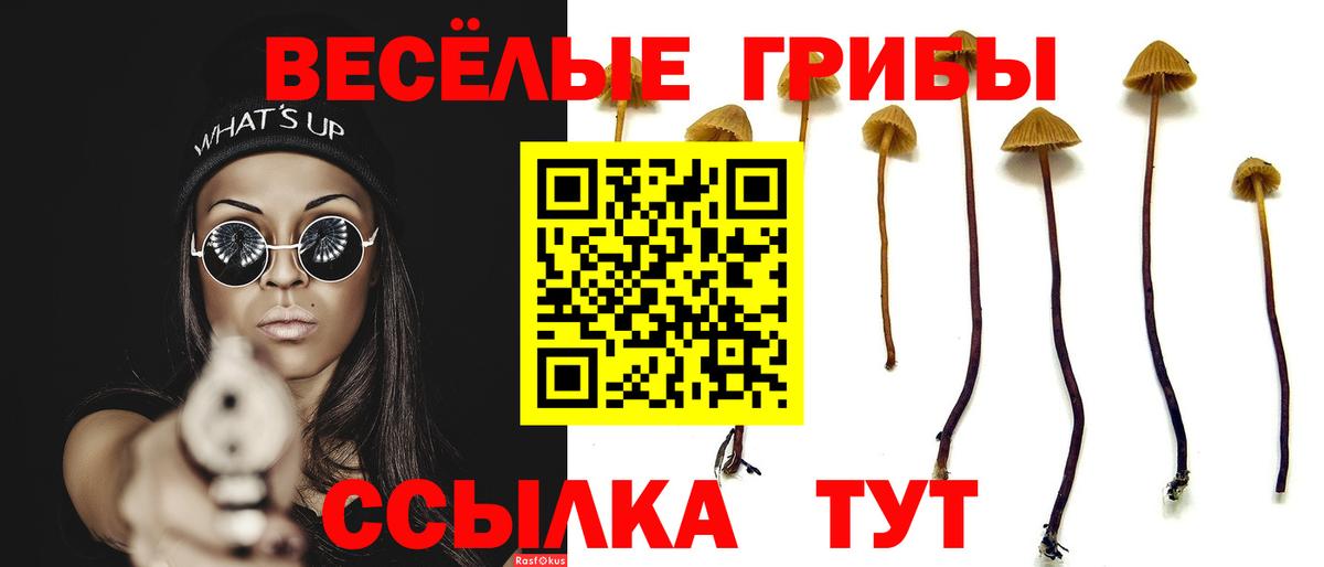 Псилоцибиновые грибы прущие грибы Михайловск